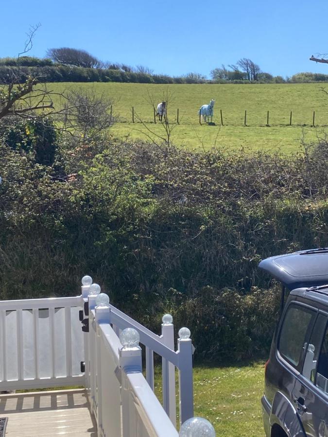 Mollys Retreat Pet Friendly Three Bed Caravan With Small Garden Newquay Bay Resort Quieter Area Of Park Exterior foto